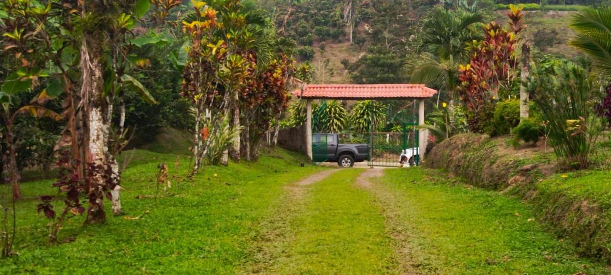 Finca en Venta, Santo Domingo — imagen 10