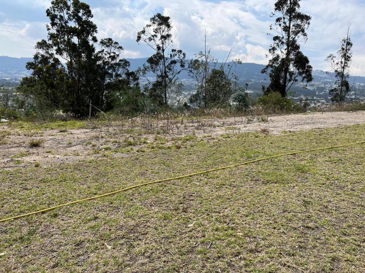 Terreno en Venta en La Loma Pillagua Cumbaya — imagen 8
