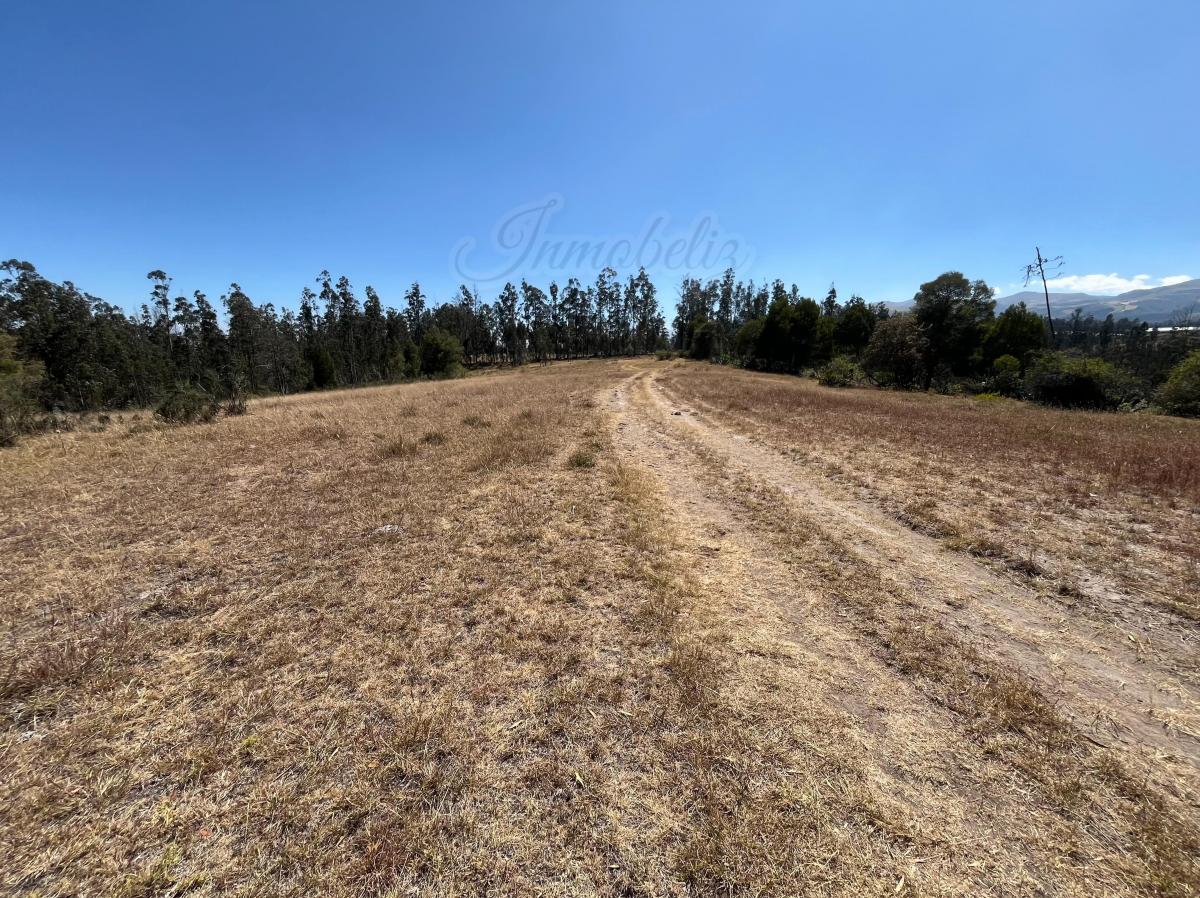Hacienda de 101 Hectáreas con Casas en Tumbaco — imagen 5