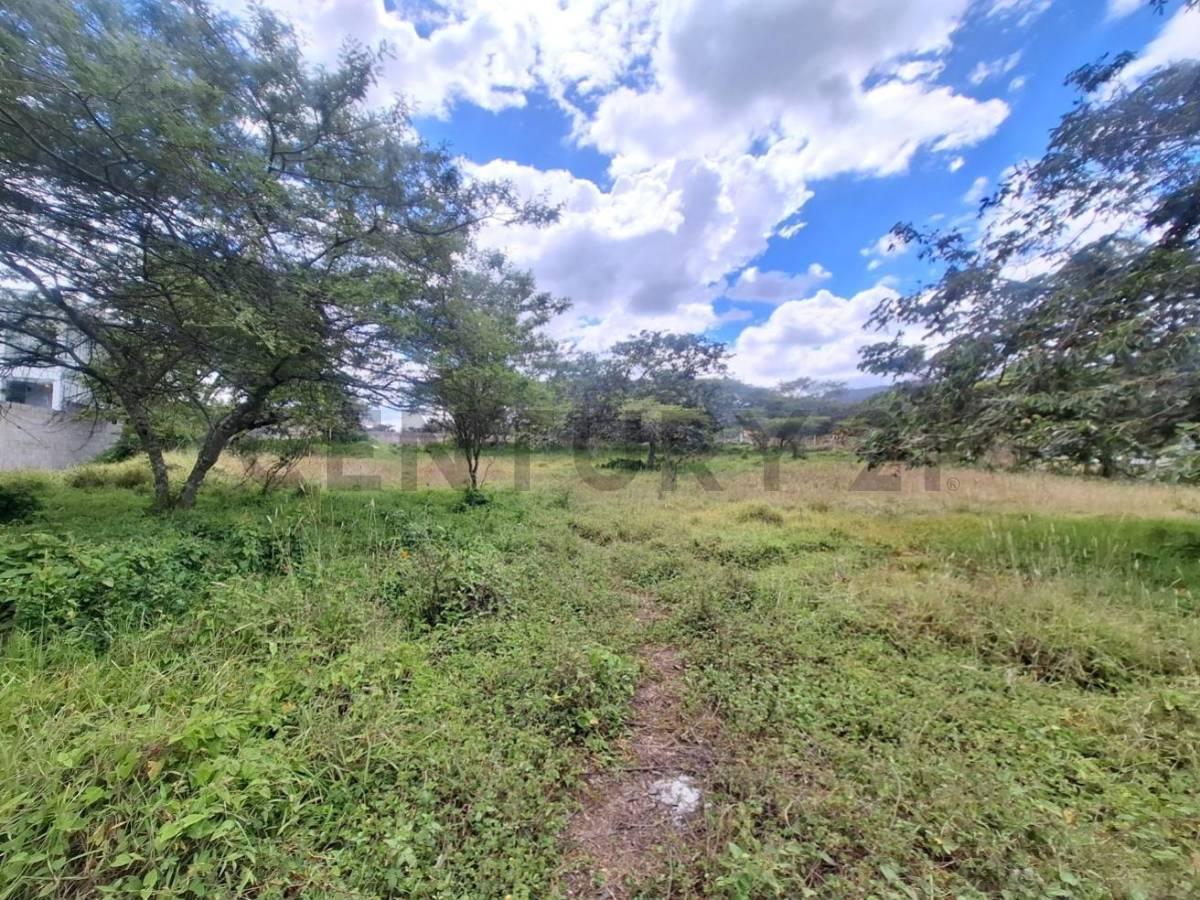 Terreno en Venta 3.305 m² Sector Nayon — imagen 5