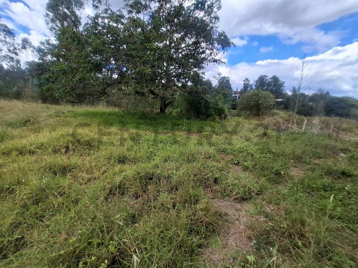 Terreno en Venta 3.305 m² Sector Nayon — imagen 4