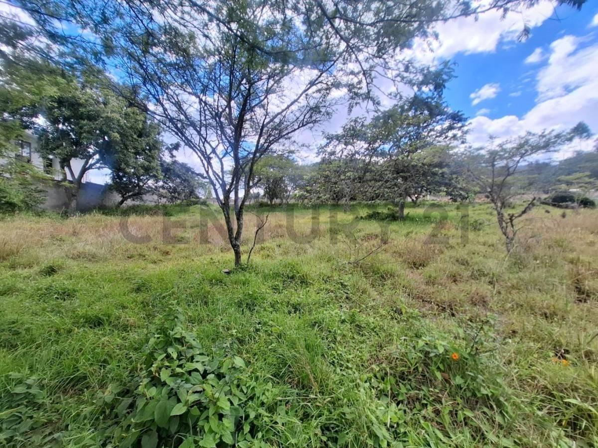 Terreno en Venta 3.305 m² Sector Nayon — imagen 3