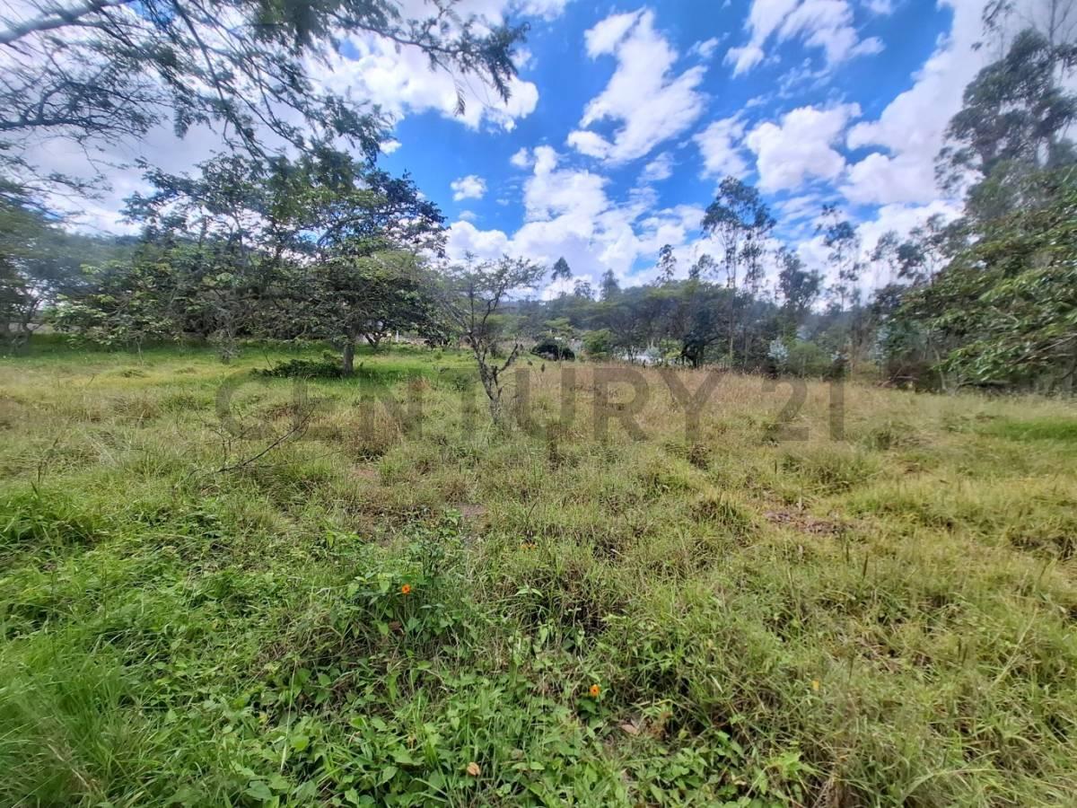 Terreno en Venta 3.305 m² Sector Nayon — imagen 2