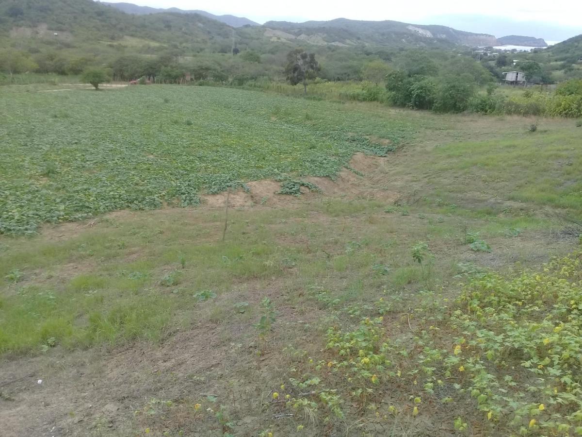 Venta de Terreno Vista Al Mar Machalilla Manabi, Manabí — imagen 9