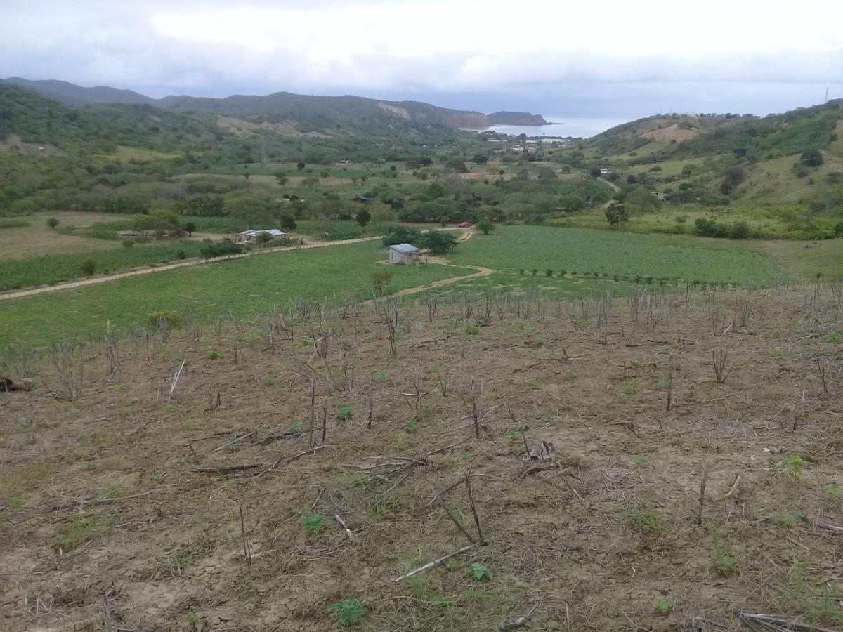 Venta de Terreno Vista Al Mar Machalilla Manabi, Manabí — imagen 8