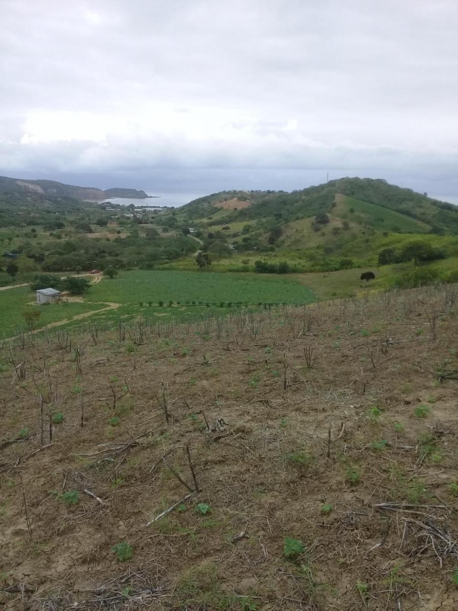 Venta de Terreno Vista Al Mar Machalilla Manabi, Manabí — imagen 5