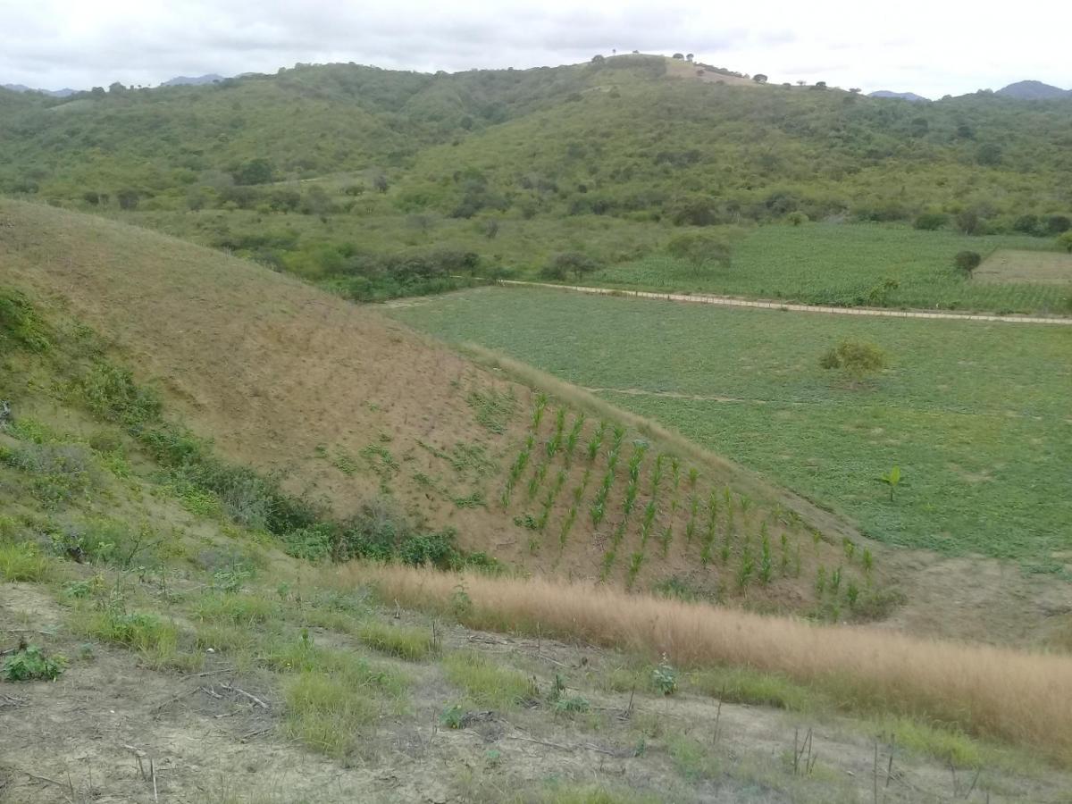 Venta de Terreno Vista Al Mar Machalilla Manabi, Manabí — imagen 4