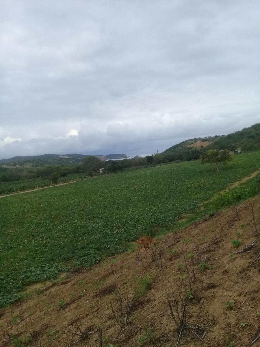 Venta de Terreno Vista Al Mar Machalilla Manabi, Manabí — imagen 3