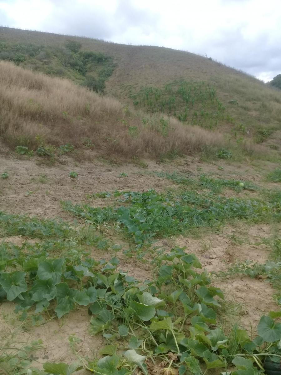 Venta de Terreno Vista Al Mar Machalilla Manabi, Manabí — imagen 2