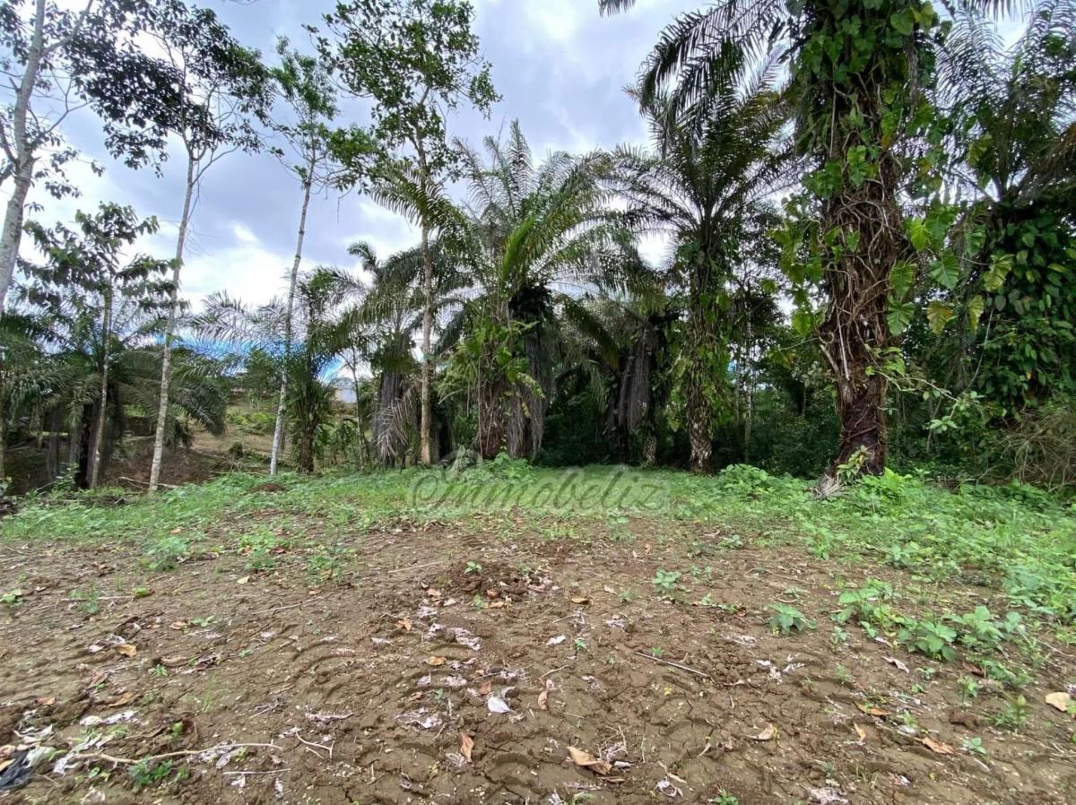 Terreno Plano Listo Lara Construir - Pedro Vicente Maldonado — imagen 5