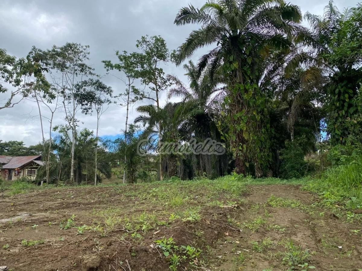 Terreno Plano Listo Lara Construir - Pedro Vicente Maldonado — imagen 4