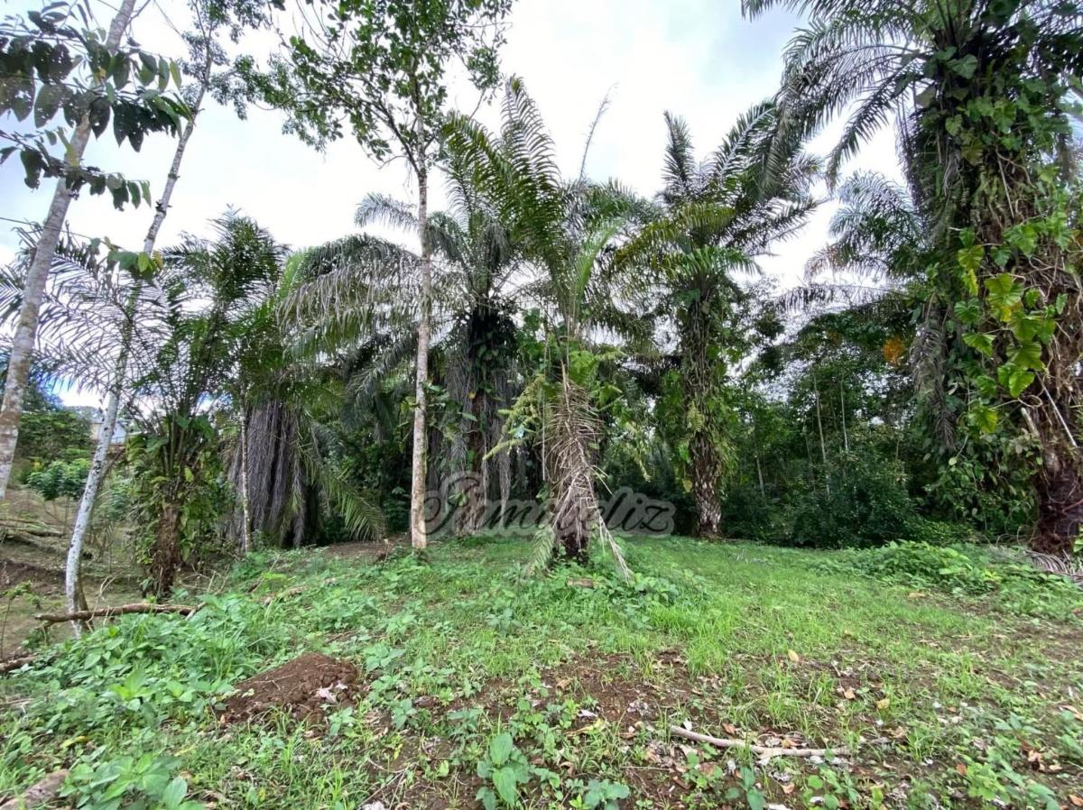 Terreno Plano Listo Lara Construir - Pedro Vicente Maldonado — imagen 2