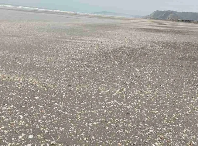 Terreno en venta — imagen 2