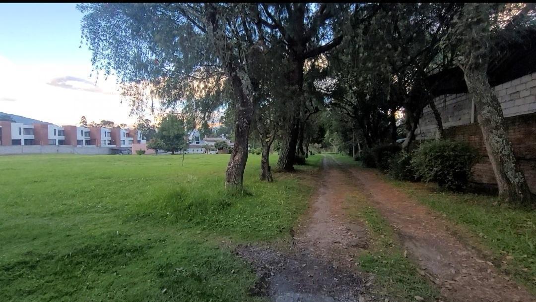 Terreno en Venta, Sector Capelo — imagen 10