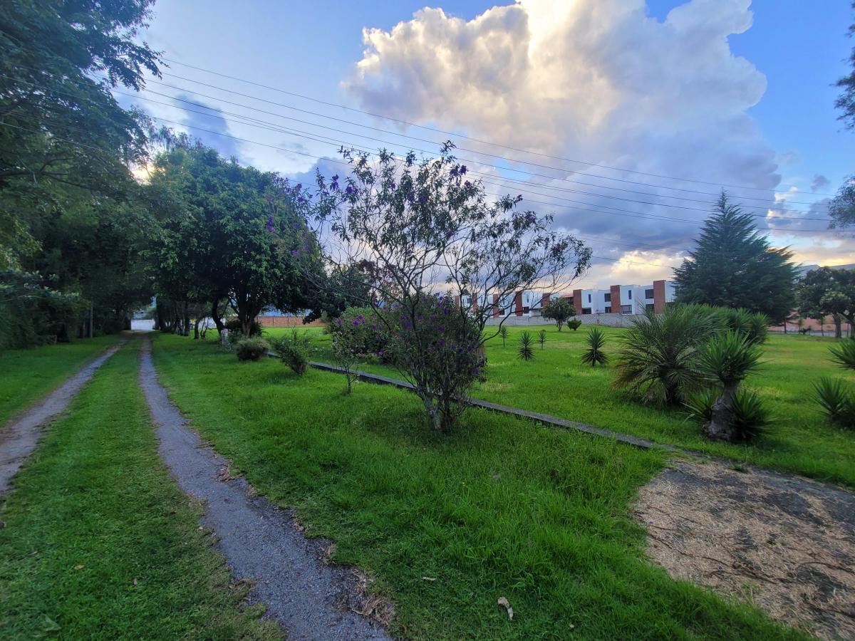 Terreno en Venta, Sector Capelo — imagen 9