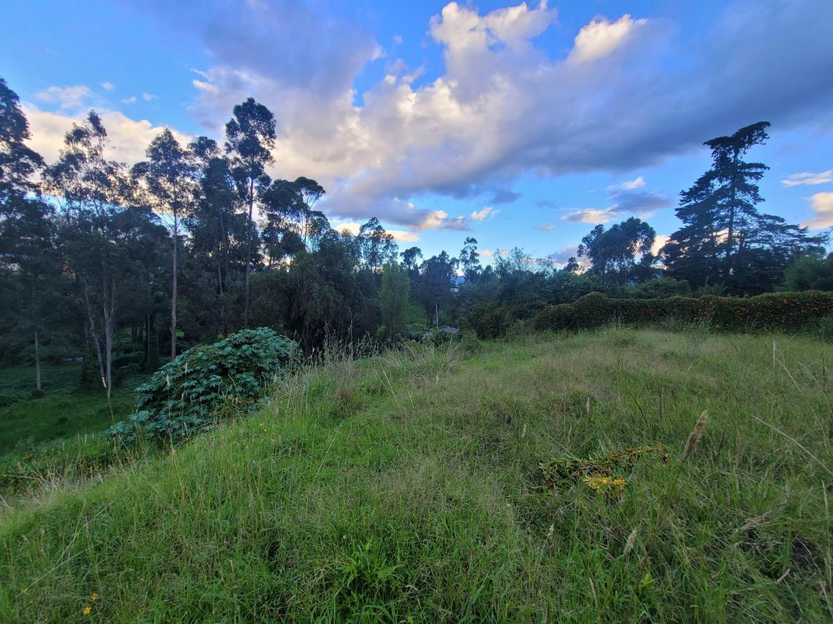Terreno en Venta, Sector Capelo — imagen 8