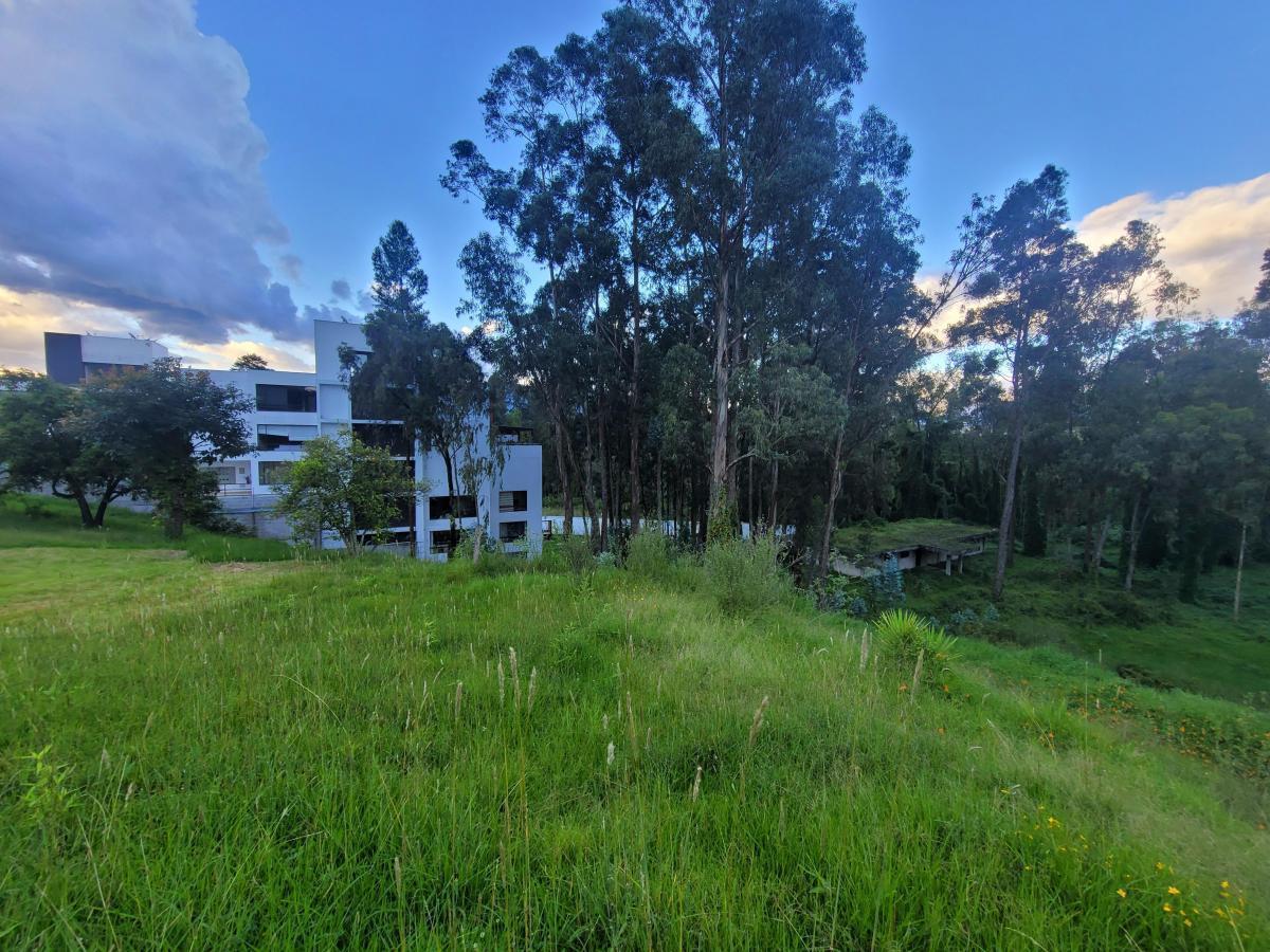 Terreno en Venta, Sector Capelo — imagen 7