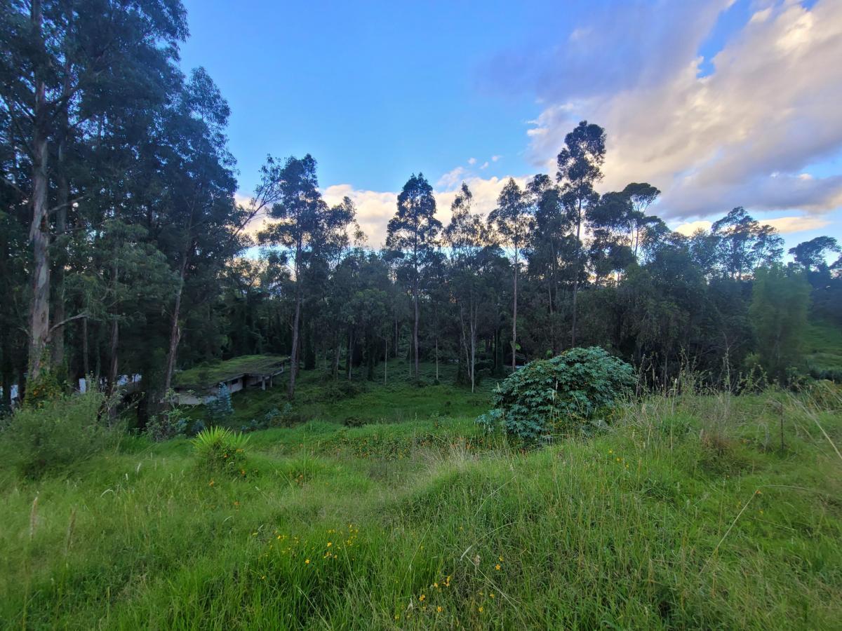 Terreno en Venta, Sector Capelo — imagen 6