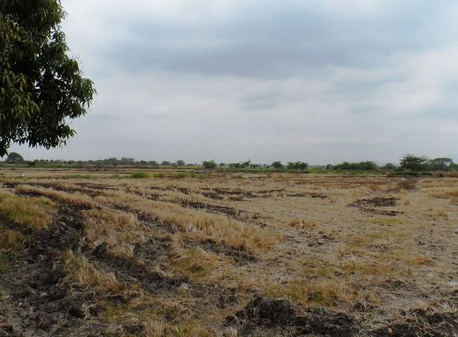 Terreno en venta en Duran — imagen 3