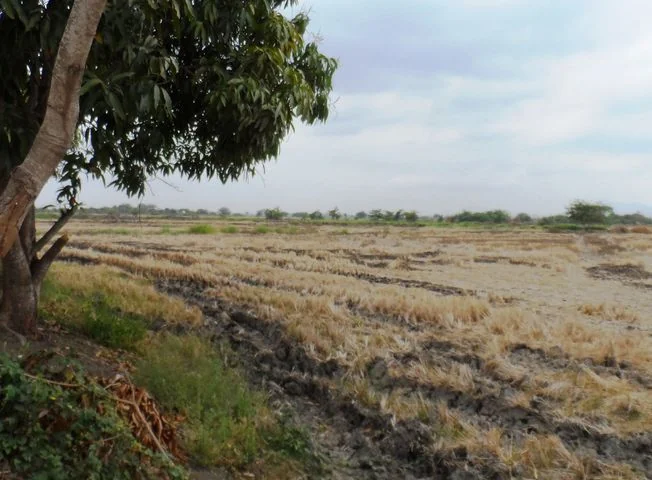 Terreno en venta en Duran — imagen 2