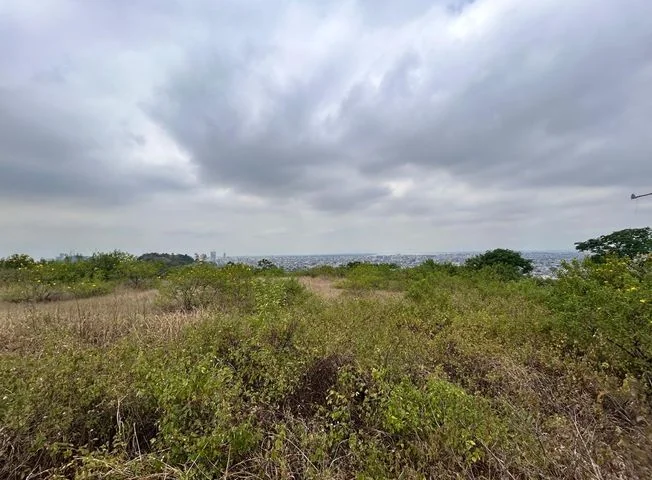Terreno en venta en Bellavista — imagen 2