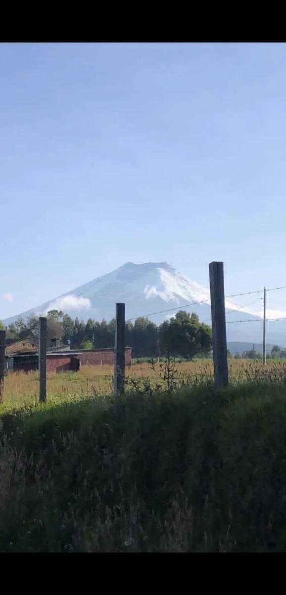 Venta Hermosa Finca Mulalo Faldas del Cotopaxi, Cotopaxi — imagen 9