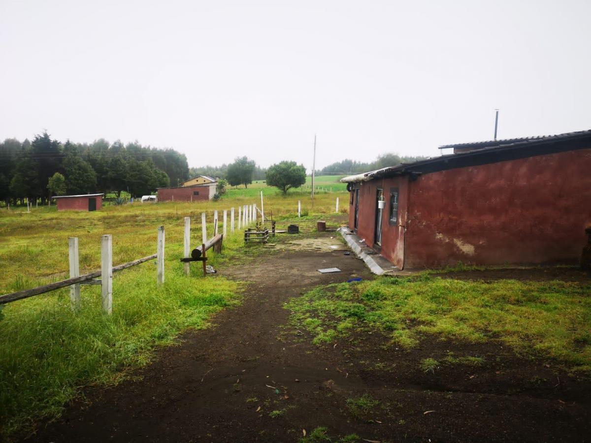 Venta Hermosa Finca Mulalo Faldas del Cotopaxi, Cotopaxi — imagen 8
