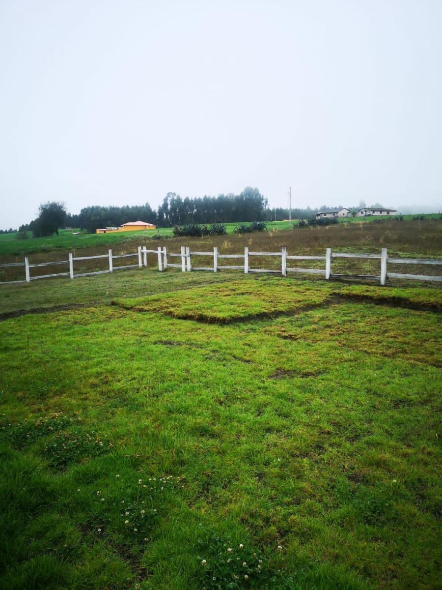 Venta Hermosa Finca Mulalo Faldas del Cotopaxi, Cotopaxi — imagen 7