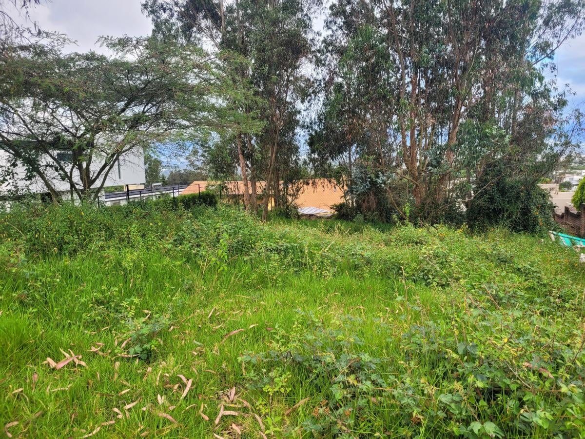 Terreno con 1000 m² en Venta en Nayón — imagen 2
