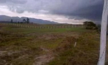 Terreno en venta en La Merced — imagen 5