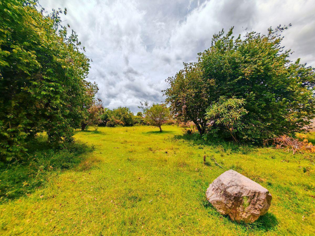 Terreno Estratégico 2.320 m² Tumbaco Sector La Villavega Cos 105% - 3 Pisos — imagen 2