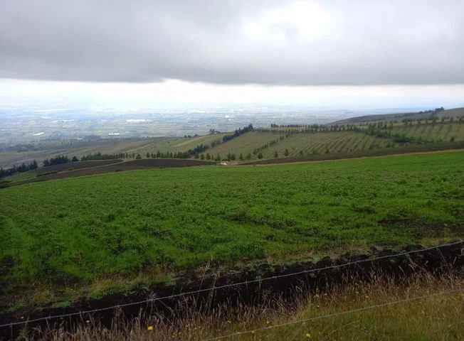 Terreno en venta en Saquisili — imagen 1