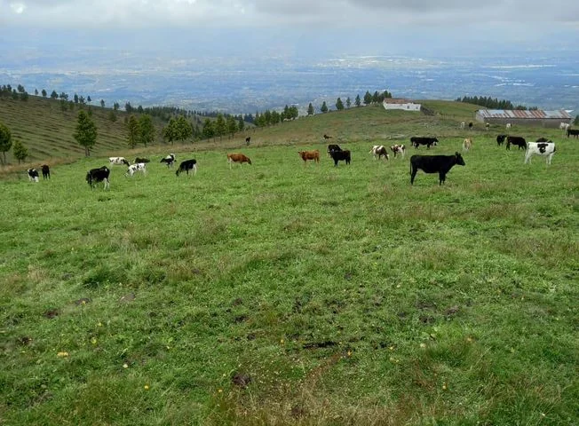 Terreno en venta en Saquisili — imagen 2