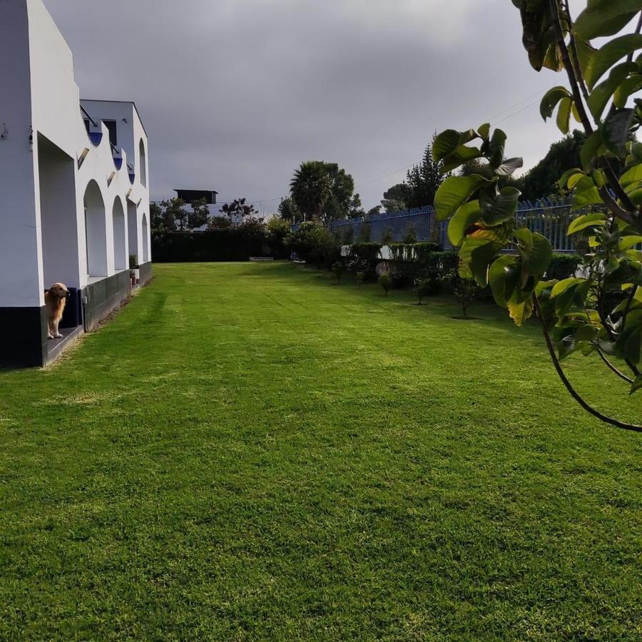 Venta Casa Grande con 1000 m² de Terreno La Morita — imagen 10