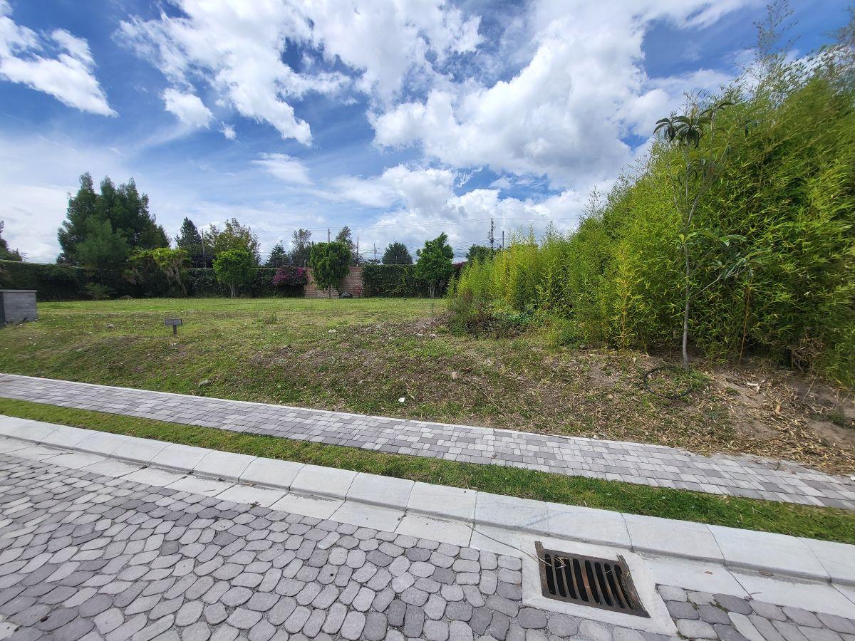 Hermoso Terreno Puembo Urbanizacion Amany — imagen 9