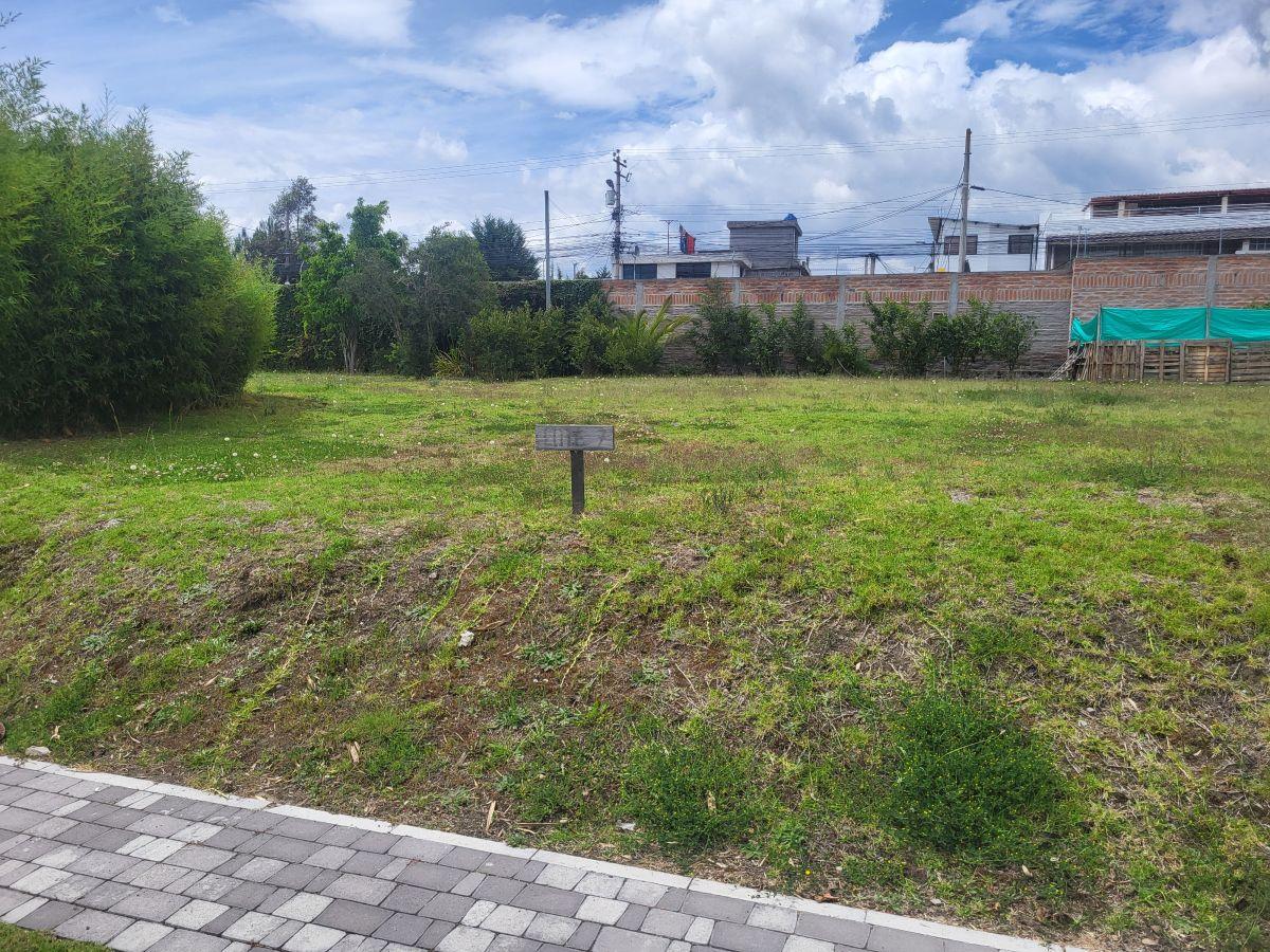 Hermoso Terreno Puembo Urbanizacion Amany — imagen 8