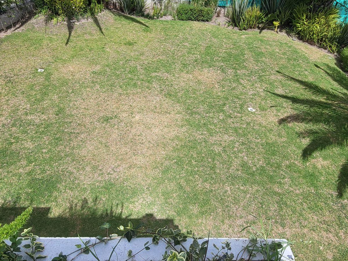 Hermoso Terreno Puembo Urbanizacion Amany — imagen 6