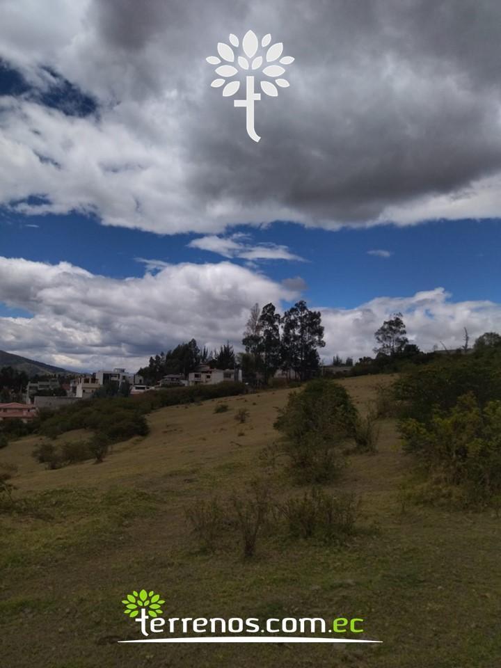 Terreno de Venta de 25.100 m², Sector El Colibrí — imagen 7