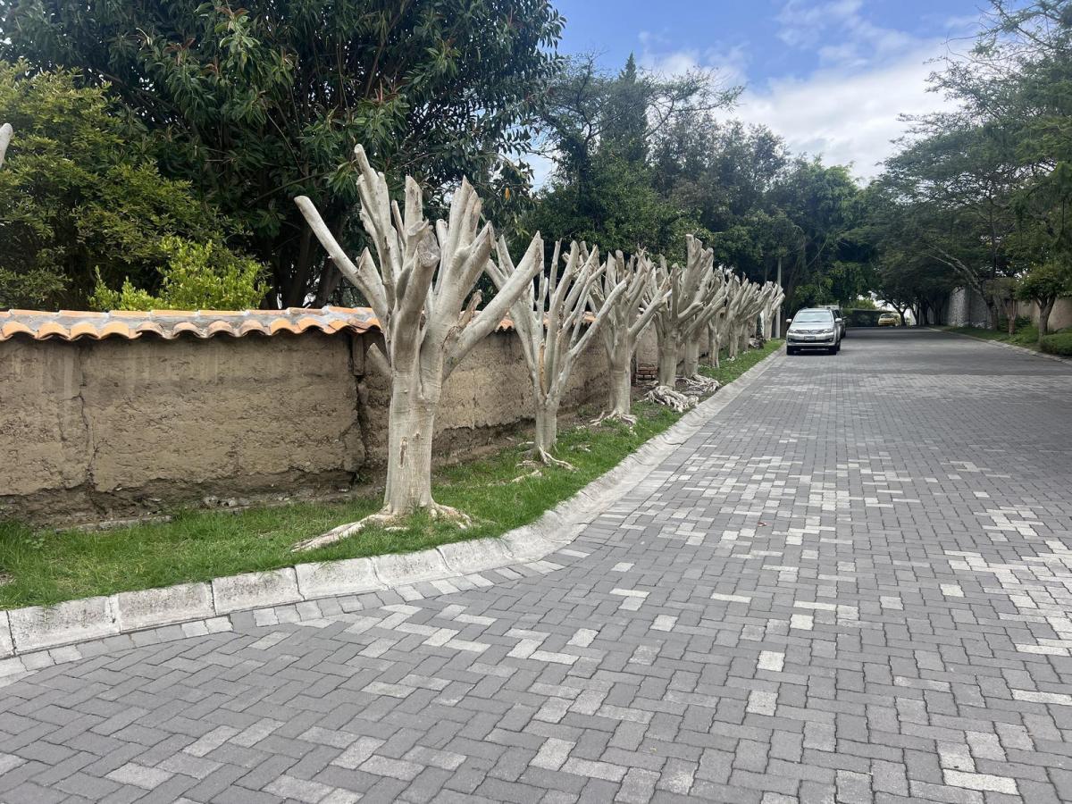 Casa — imagen 8