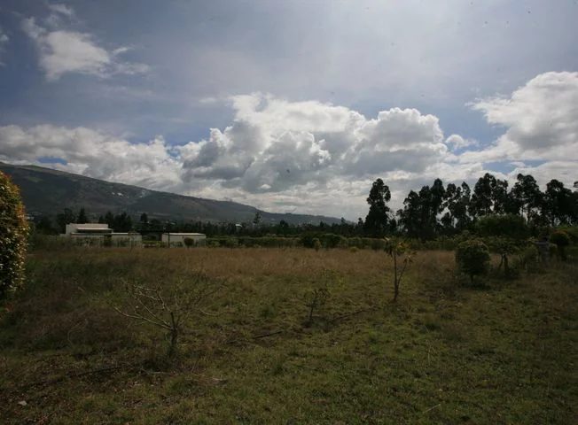 Terreno en venta en Tabacundo — imagen 1