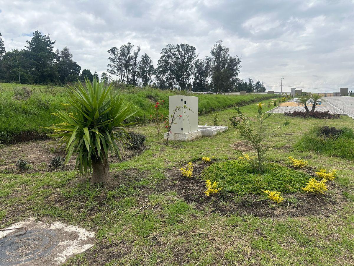 Vendo Hermosos Terrenos en Puembo Conjunto Cerrado 1.007,63 m² — imagen 9