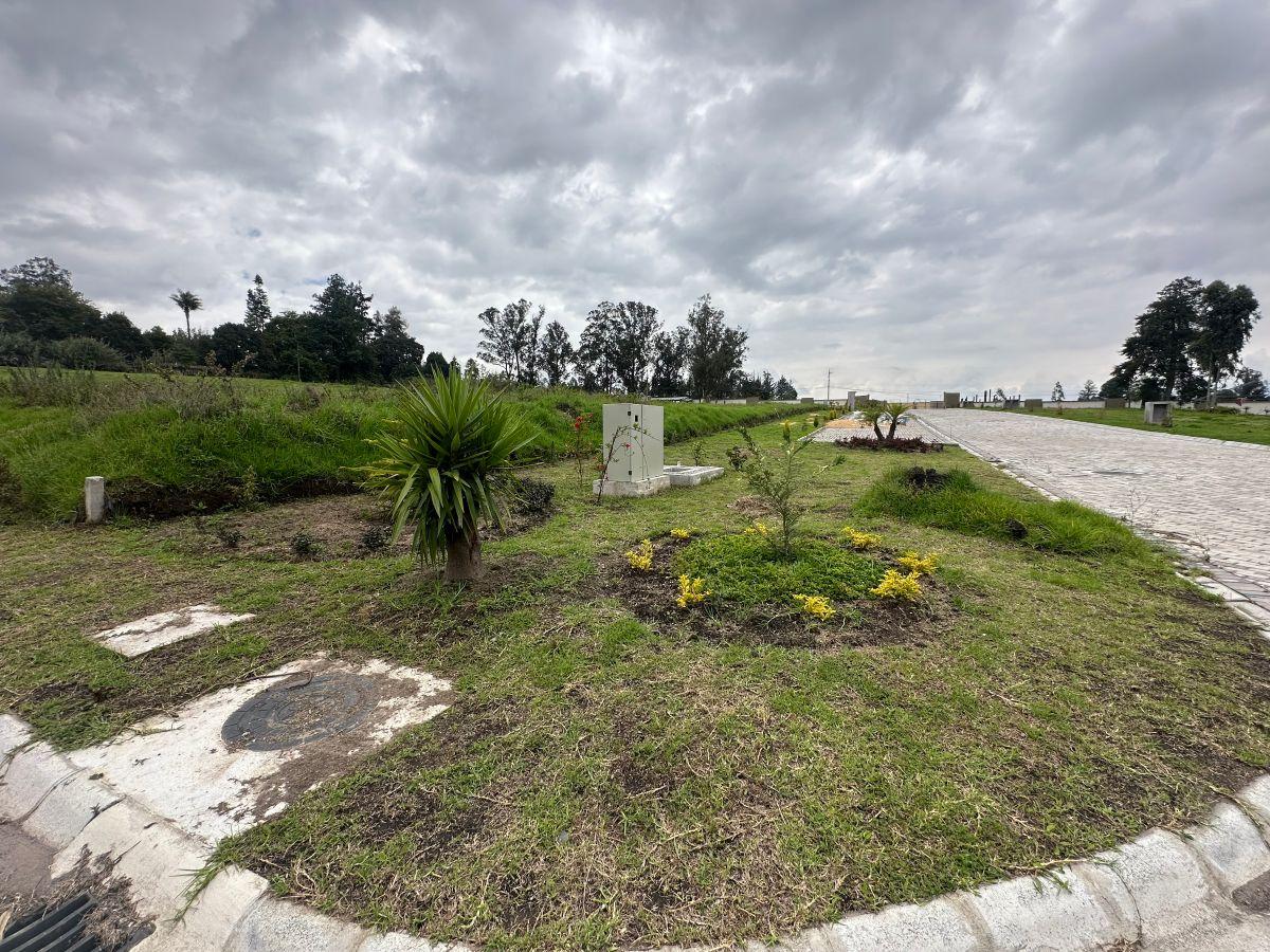 Vendo Hermosos Terrenos en Puembo Conjunto Cerrado 1.007,63 m² — imagen 8