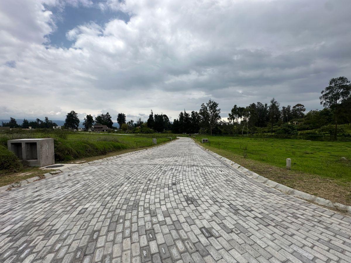 Vendo Hermosos Terrenos en Puembo Conjunto Cerrado 1.007,63 m² — imagen 7