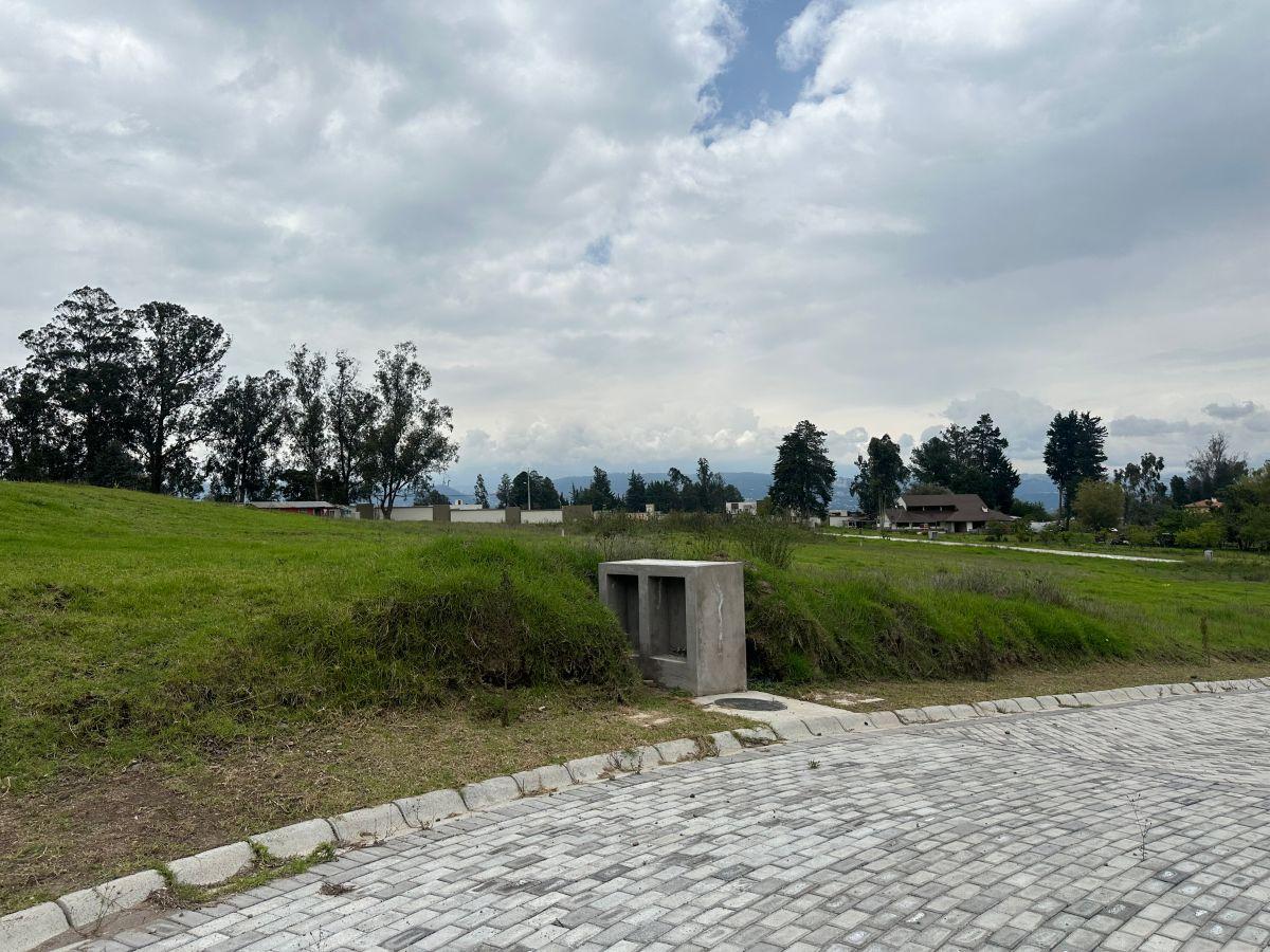 Vendo Hermosos Terrenos en Puembo Conjunto Cerrado 1.007,63 m² — imagen 6