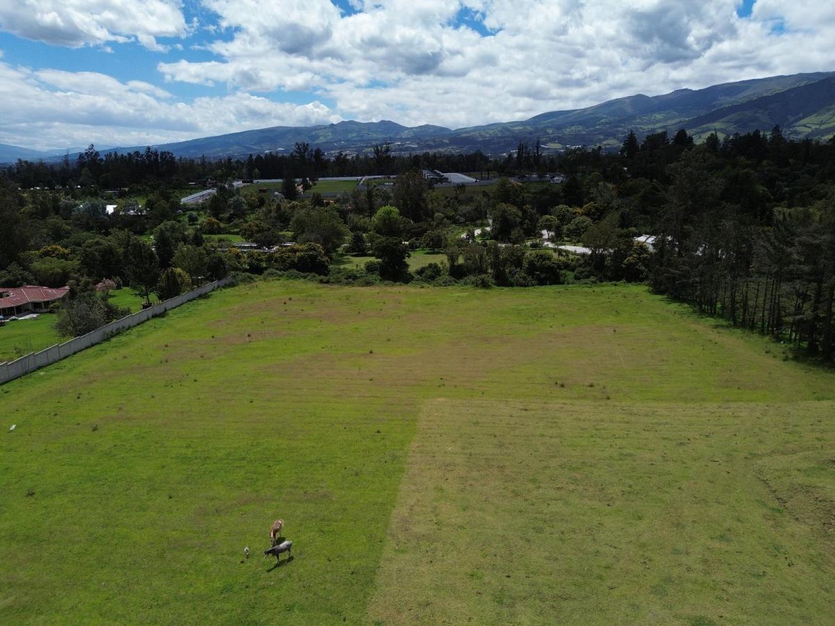 Terreno Plano de Venta en Puembo, Ideal Para Proyecto. Sector 3ra Fase Ruta Viva — imagen 10