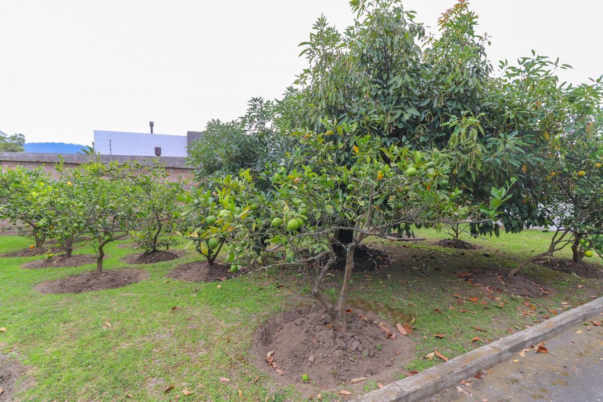 Terreno de Venta Av Francisco de Orellana Sector La Viña con 4 Casas — imagen 10