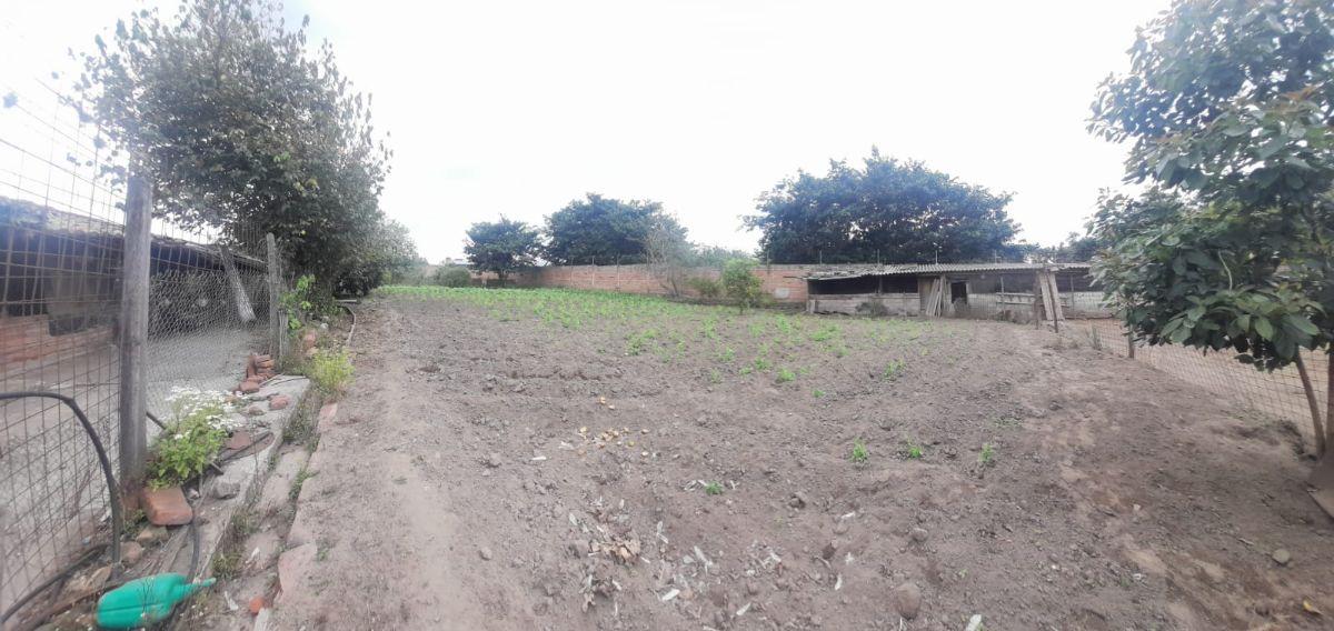 Hermoso Lote - Collaqui - Tumbaco — imagen 5