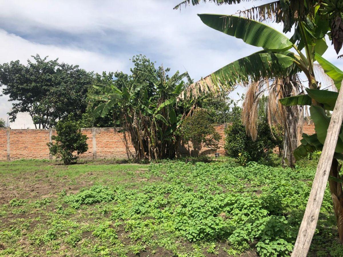 Hermoso Lote - Collaqui - Tumbaco — imagen 3