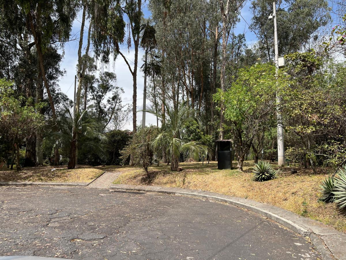 Quito Tenis Terreno de Venta 667 m² — imagen 10