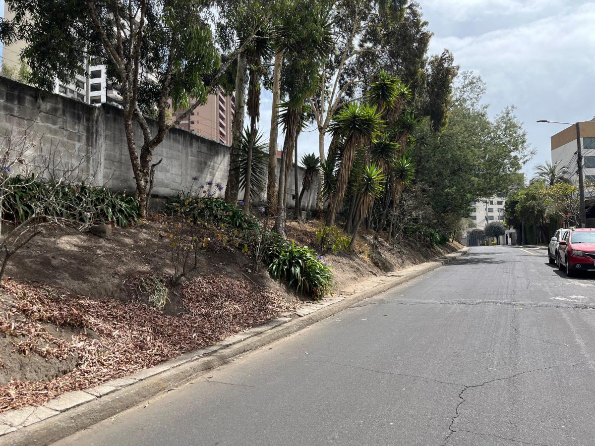 Quito Tenis Terreno de Venta 667 m² — imagen 7